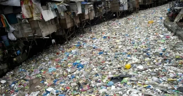 প্লাস্টিক বর্জ্য